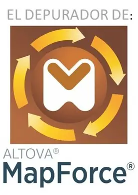 imgi 26 Mapforce depurador